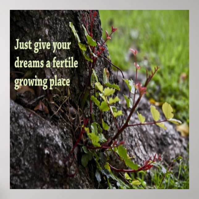 Beautiful Quotes Poster (Vorne)