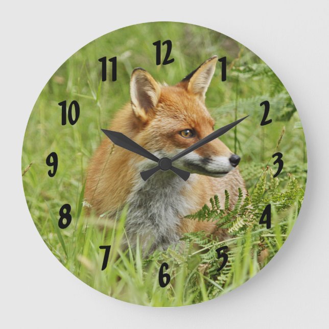 Beautiful Red Fox / Vixen Große Wanduhr (Vorderseite)