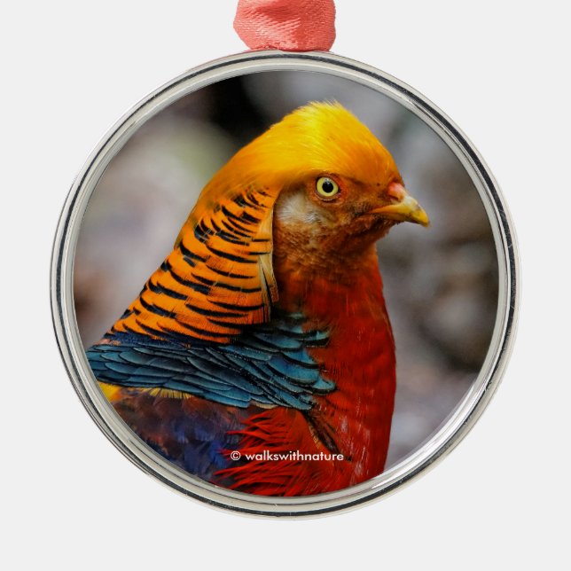 Beautiful Red Golden Pheasant Ornament Aus Metall (Vorne)