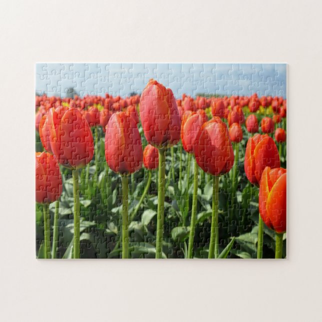 Beautiful red tulips print puzzle (Horizontal)