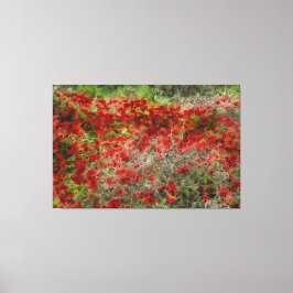 Beautiful Red Wildblume Anemones Abstrakte Kunst Leinwanddruck