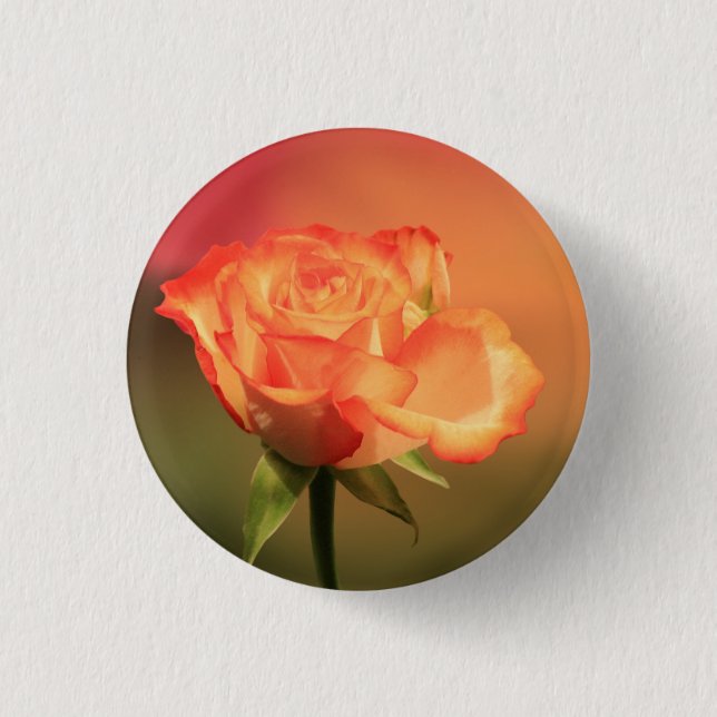Beautiful Romantic Rose Fotograph Button (Vorderseite)