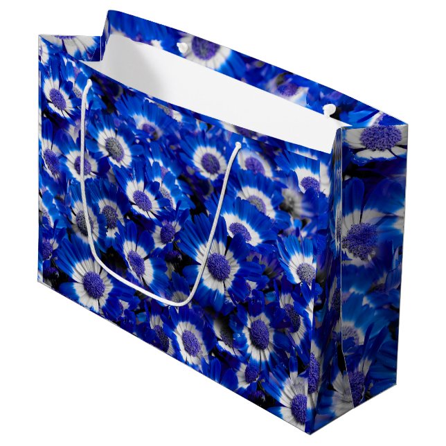 Beautiful Royal Blue Cineraria Blume Große Geschenktüte (Vorderseite Schrägansicht)