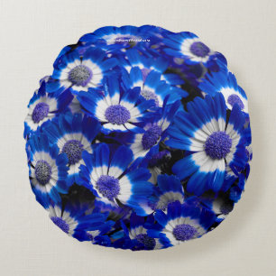 Beautiful Royal Blue Cineraria Blume Rundes Kissen