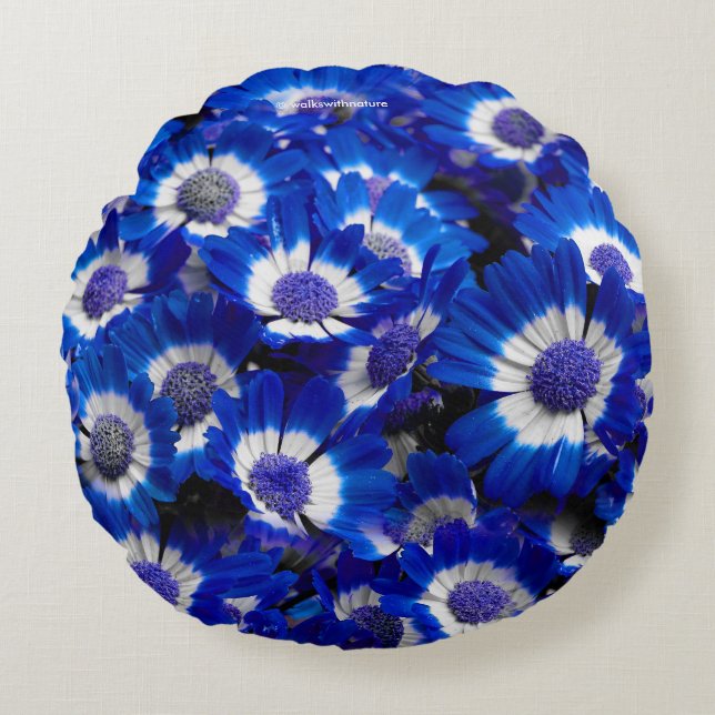 Beautiful Royal Blue Cineraria Blume Rundes Kissen (Vorderseite)