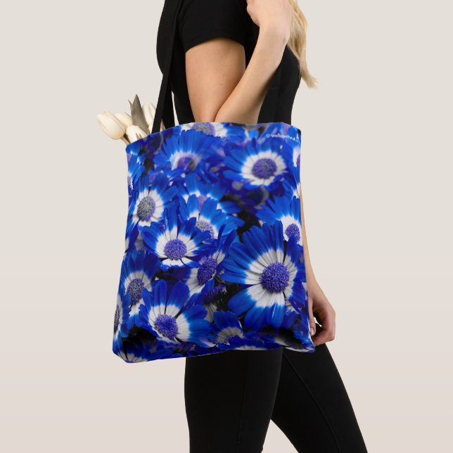 Beautiful Royal Blue Cineraria Blume Tasche (Von Nahem)