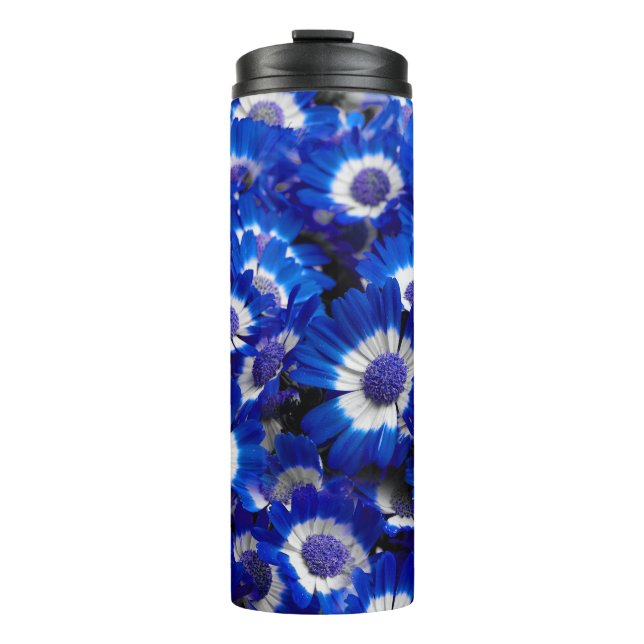 Beautiful Royal Blue Cineraria Blume Thermosbecher (Vorderseite)