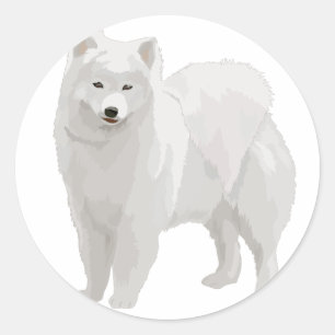 Beautiful Samoyed Runder Aufkleber