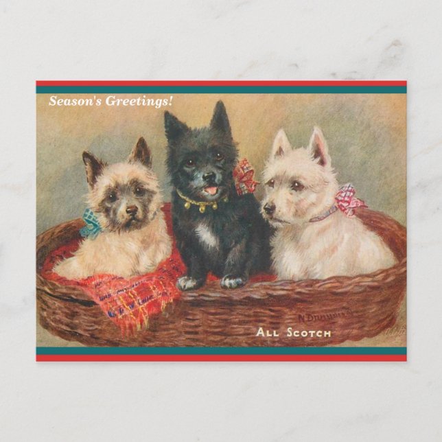 Beautiful Scottie Hunde Vintages Gemälde Urlaub Postkarte (Vorderseite)