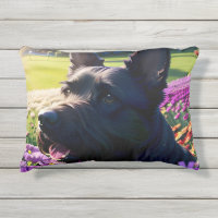 Beautiful Scottish Terrier Dog One