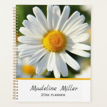 Beautiful Shasta Daisy | PERSONALISIERT
