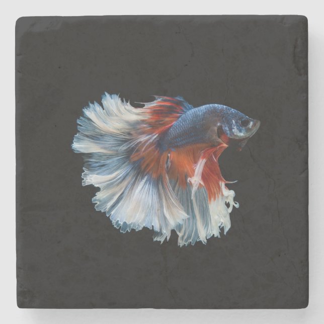 Beautiful Siamese Betta Fish Steinuntersetzer (Vorderseite)