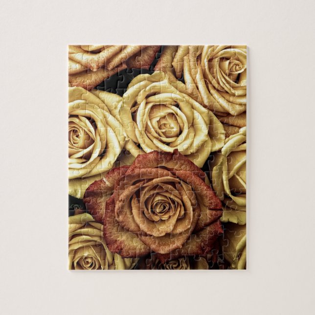 Beautiful Siena Roses Photo (Vertikal)