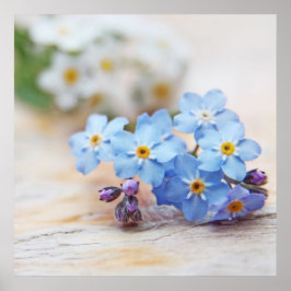 Beautiful Simple Blue vergiss-me-not-Blume Poster