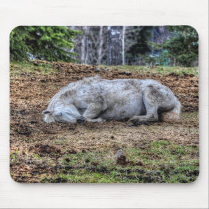 Beautiful Sleeping White Mare Ranch Horse Mousepad