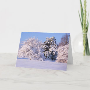 Beautiful Snow Scene Photo Karte