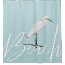 Beautiful Snowy Egret