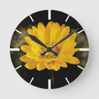 Beautiful Sunflower with Dark Brown Background