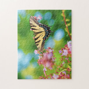 Beautiful Swallowtail butterfly on pretty flowers