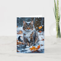 Beautiful Tabby Cat Herbstlaube Leere