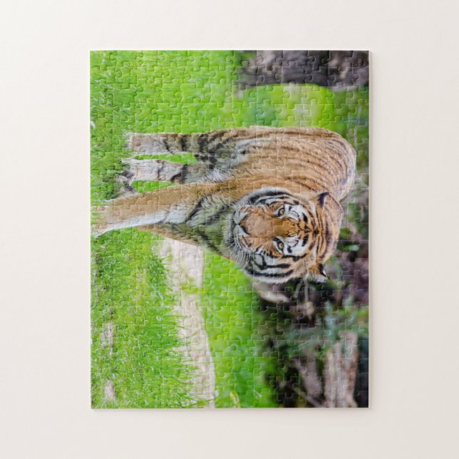 Beautiful Tiger (Vertikal)