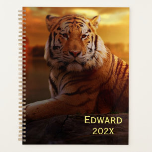 Beautiful Tiger  Planer