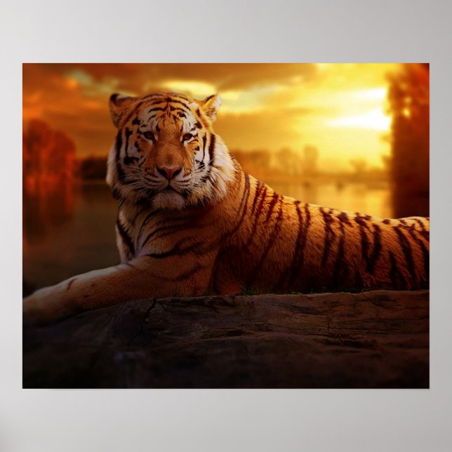 Beautiful Tiger Poster (Vorne)