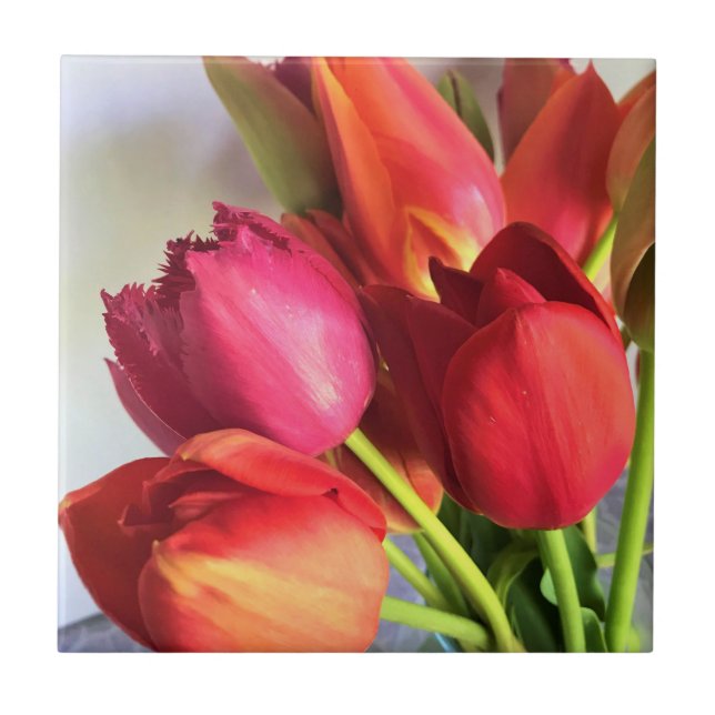 Beautiful Tulip Bouquet Fliese (Vorderseite)