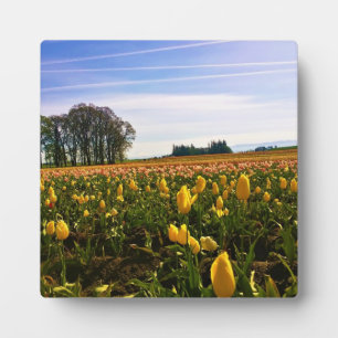 Beautiful Tulip Field Oregon Fotoplatte