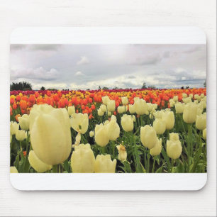 Beautiful Tulip Field Oregon Mousepad