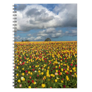Beautiful Tulip Field Oregon Notizblock