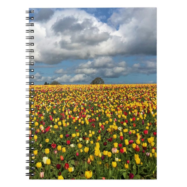 Beautiful Tulip Field Oregon Notizblock (Vorderseite)