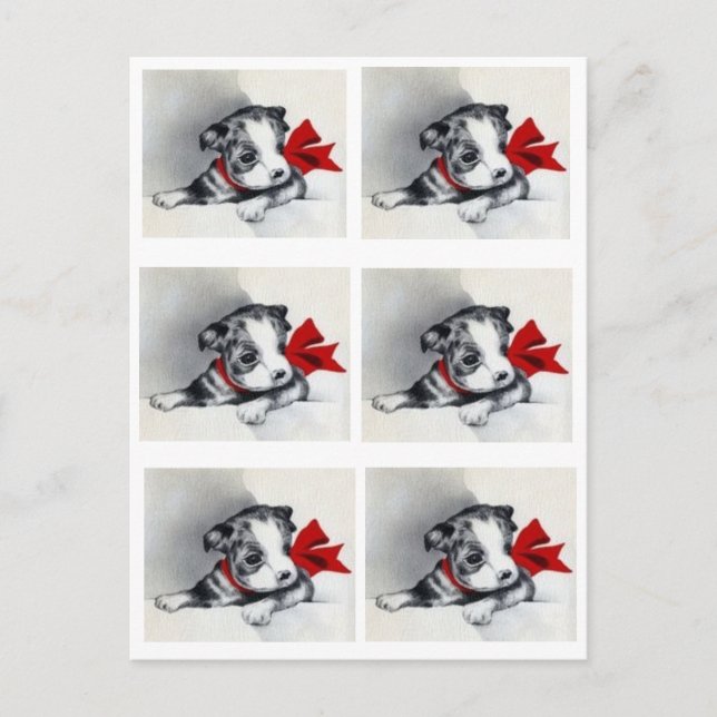 Beautiful Vintag Boston Terrier Puppy Postkarte (Vorderseite)