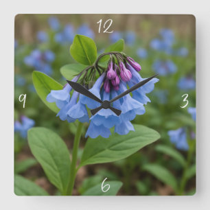 Beautiful Virginia Bluebells Quadratische Wanduhr