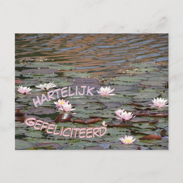 Beautiful Water Lilies Gefeliciteerd Postkarte (Vorderseite)