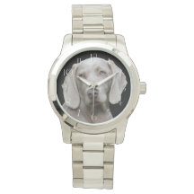 Beautiful Weimaraner