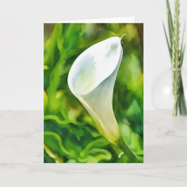 Beautiful White Calla Lido Garden Karte