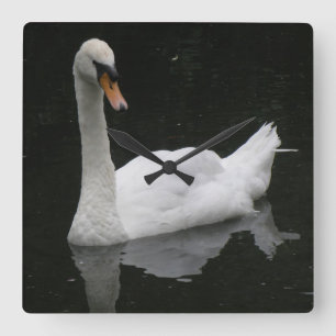 Beautiful White Swan Clock Quadratische Wanduhr