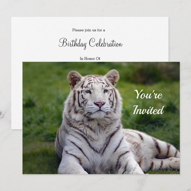 Beautiful White Tiger Foto Geburtstag Einladung (Vorne/Hinten)