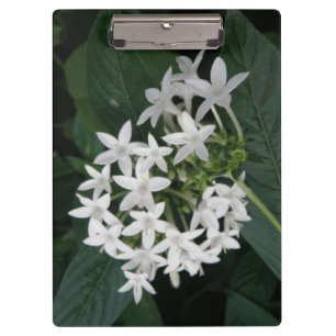 Beautiful White Tropical Flowers Clipboard Klemmbrett