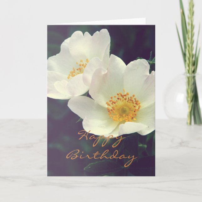 Beautiful Wild Rose Happy Birthday Card Karte (Vorderseite)