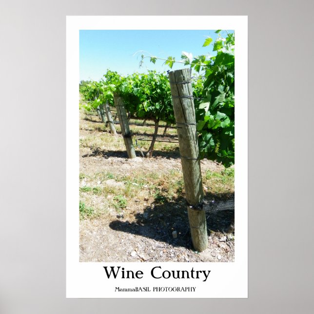 Beautiful Wine Country Poster! Poster (Vorne)