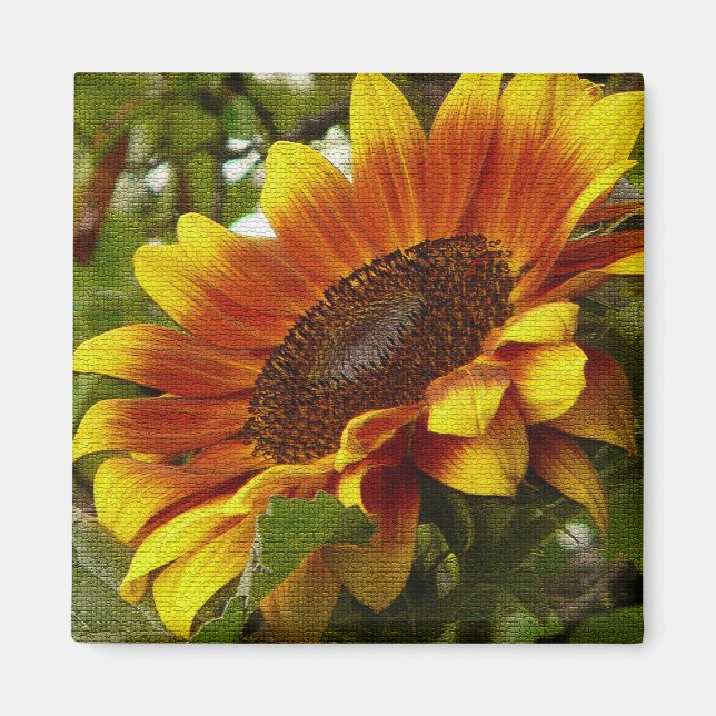 Beautiful Yellow and Orange Sunflower Magnet (Vorne)