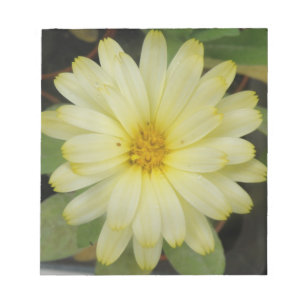 Beautiful Yellow Marigold Notepad Notizblock