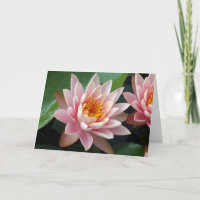 Beauty Card
