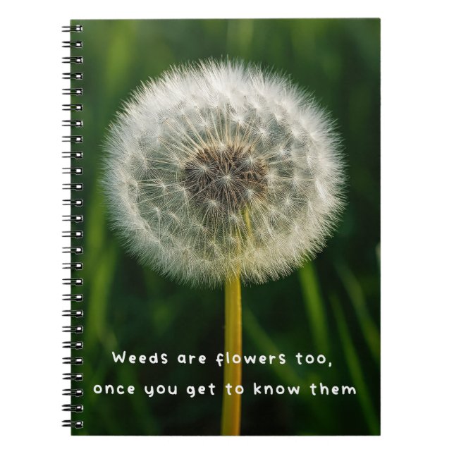 Beauty eye beholder dandelion weed quote unique  notizblock (Vorderseite)