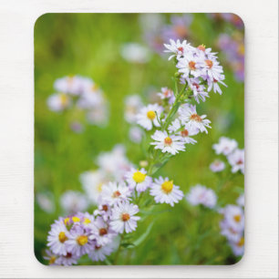 Beauty Line Mousepad