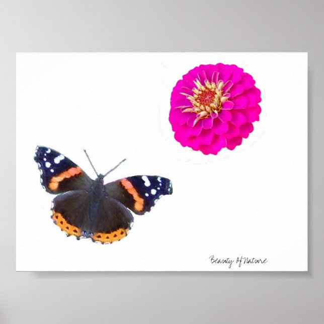 Beauty Of Nature Poster (Vorne)