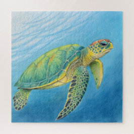 Beauty of the turtle