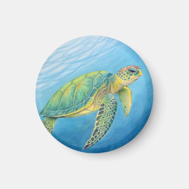 Beauty of the turtle magnet (Vorne)